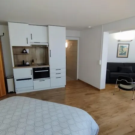 40 M2 Avec Sauna Proche De Strasbourg *