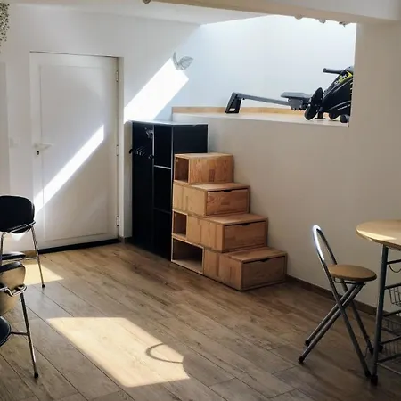 40 M2 Avec Sauna Proche De Strasbourg Mittelhausbergen