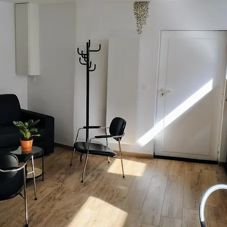 40 M2 Avec Sauna Proche De Strasbourg * Mittelhausbergen