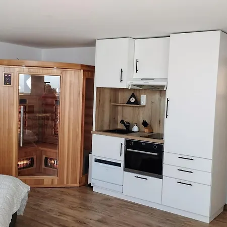 40 M2 Avec Sauna Proche De Strasbourg Mittelhausbergen