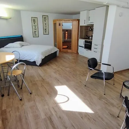 40 M2 Avec Sauna Proche De Strasbourg